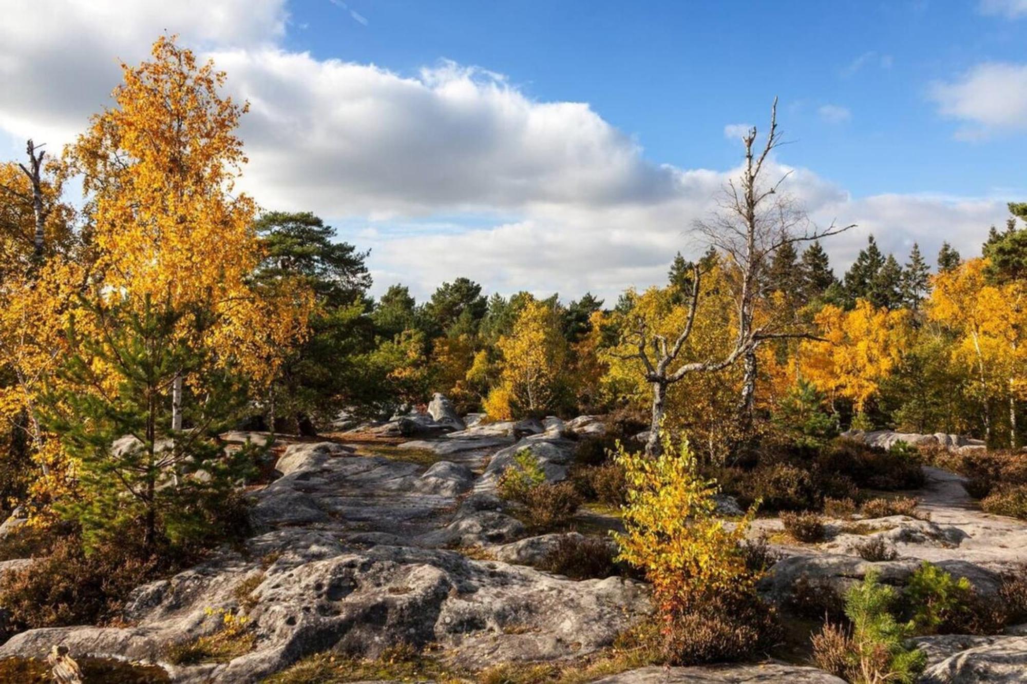 Vue Chateau Fontainebleau - Chez Lydia エクステリア 写真